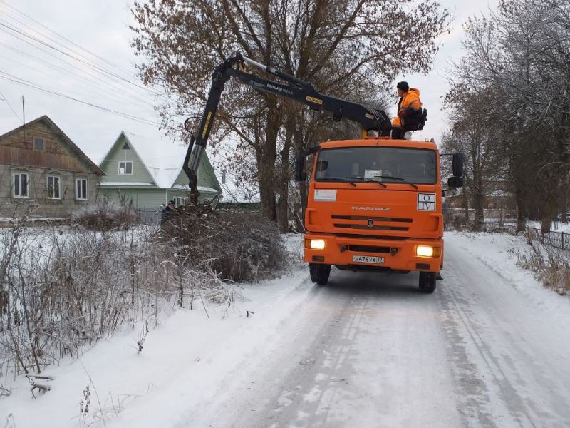 Вывоз спиленных веток в с. Васильевское.