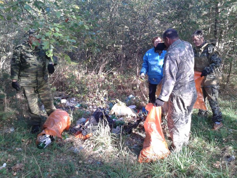 Снос аварийного дерева на территории кладбища с. Васильевское.