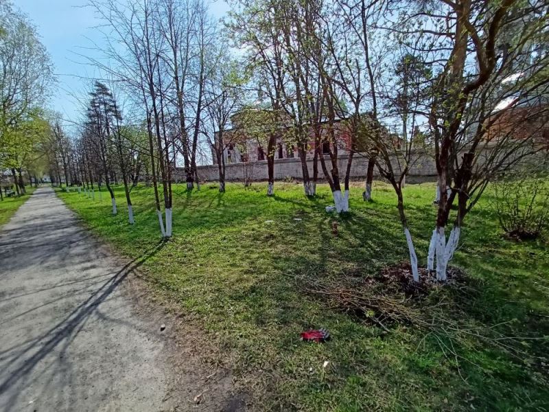 Побелка деревьев в сквере мемориала Воинской славы.
