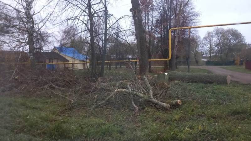 Снос аварийных деревьев в д. Чижово Шуйского района.